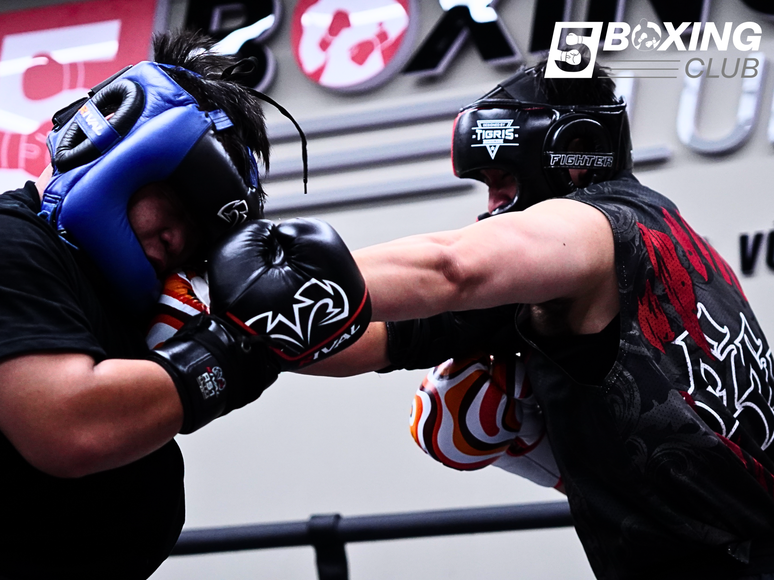 Tập boxing có giúp giảm cân không?